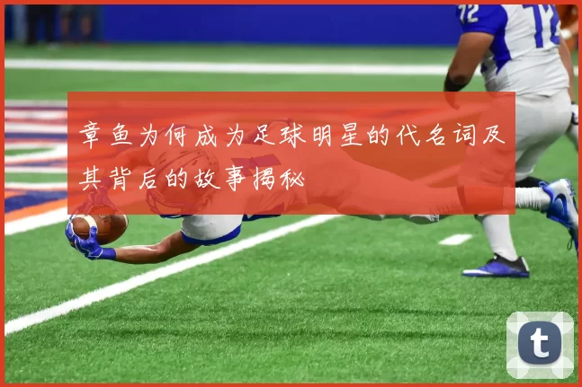 章鱼为何成为足球明星的代名词及其背后的故事揭秘