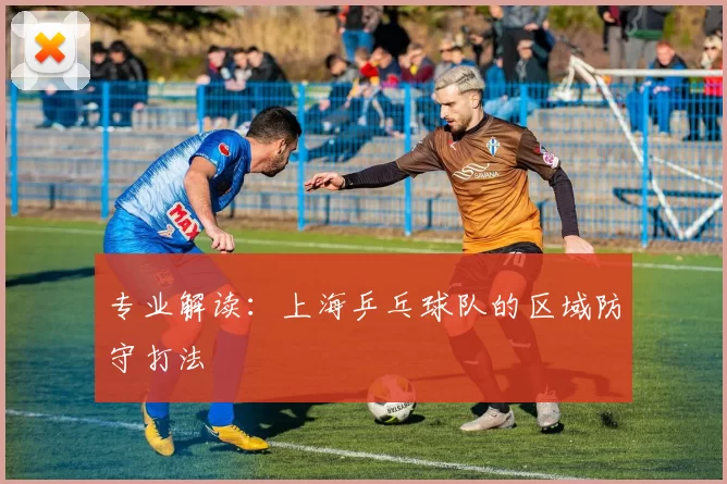 专业解读：上海乒乓球队的区域防守打法