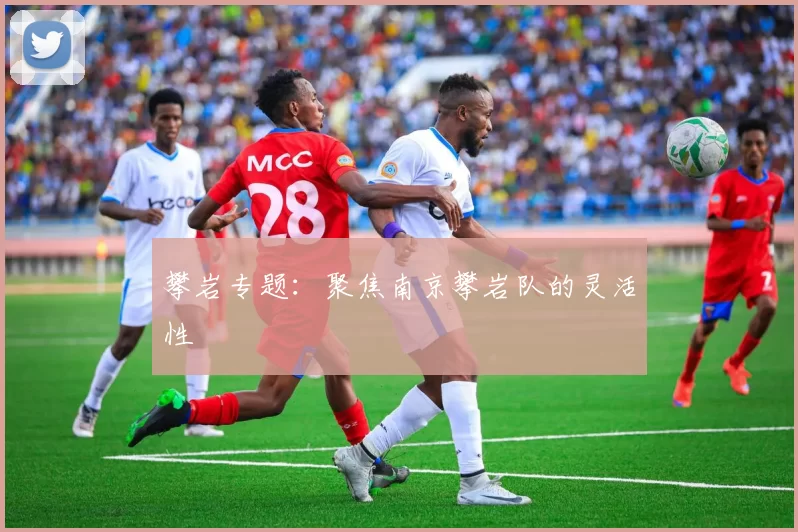 攀岩专题：聚焦南京攀岩队的灵活性