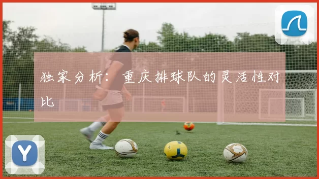 独家分析：重庆排球队的灵活性对比